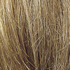 Touch 'n Go - Remy Human Hair, Topper