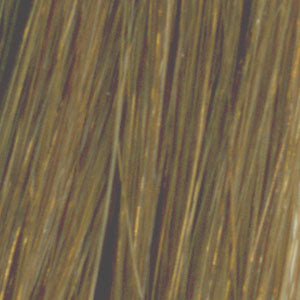 Secret - Remy Human Hair, Topper